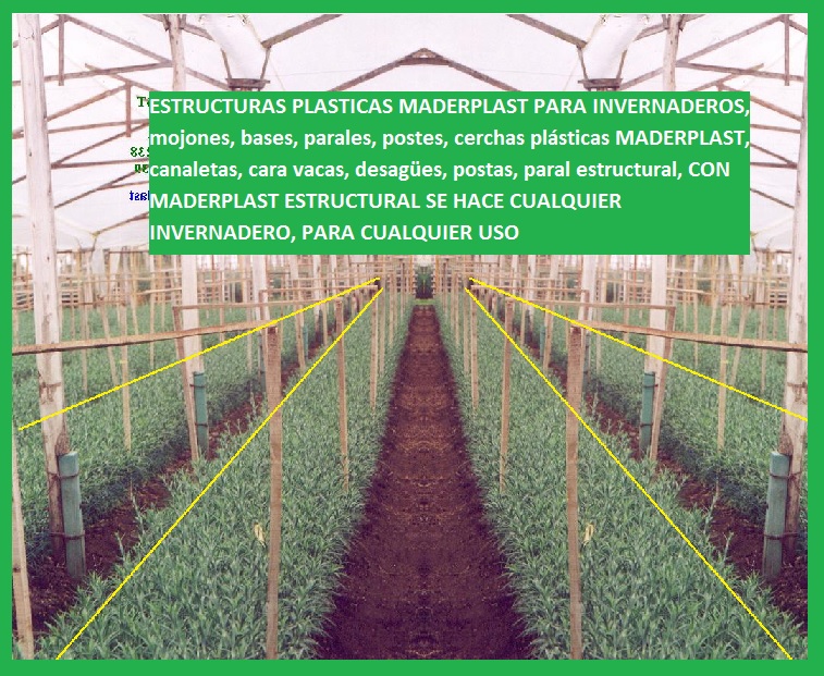 invernaderos para flores en madera plástica maderplast invernadero flor cortada maderas inmunizadas tratadas postes parales mojones care vaca carevaca cerchas estructuras invernadero canal 003 invernaderos para flores en madera plástica maderplast invernadero flor cortada maderas inmunizadas tratadas postes parales mojones care vaca carevaca cerchas estructuras invernadero canal 003